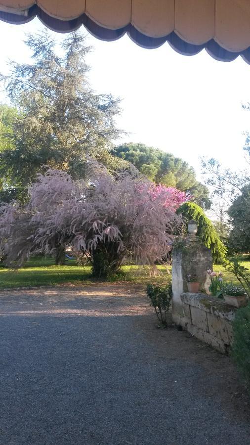 ホテル Domaine Mongiron Nérigean エクステリア 写真