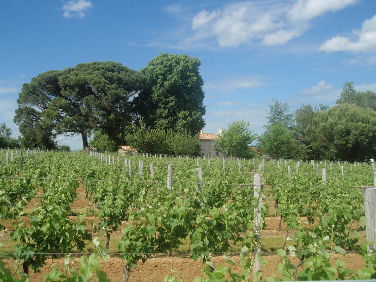 ホテル Domaine Mongiron Nérigean エクステリア 写真