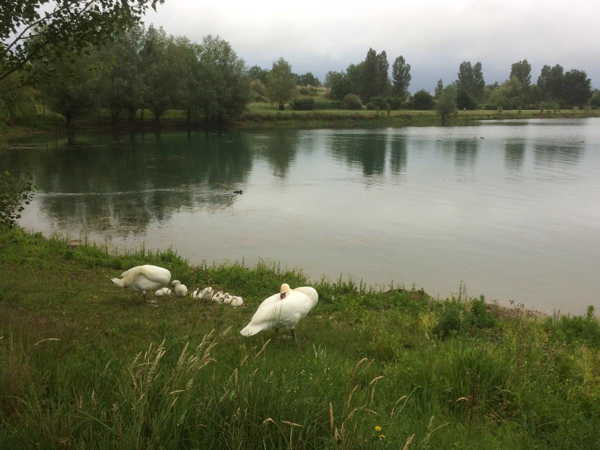 ホテル Domaine Mongiron Nérigean エクステリア 写真